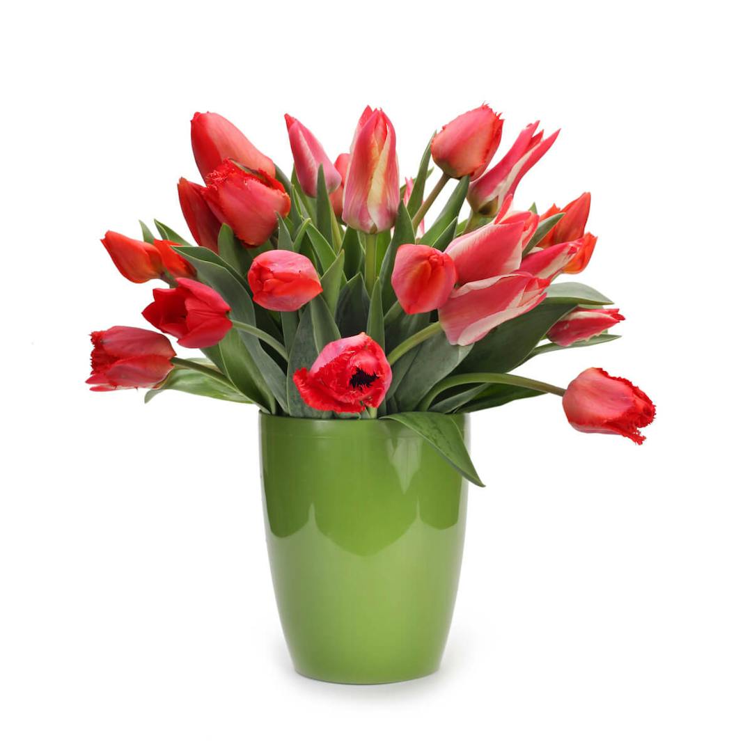 Red Tulip Bunch